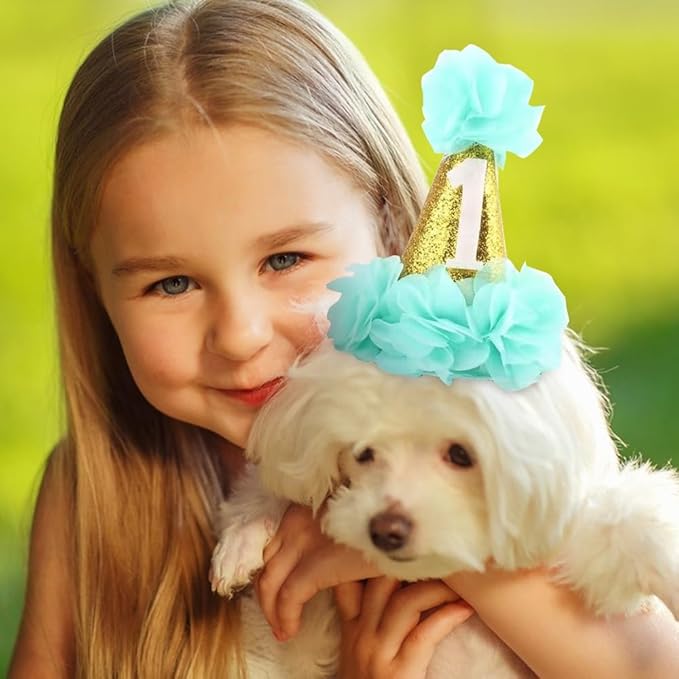 1st Pet Birthday Cone Hat Dogs Cats Holiday Party Hat Headwear Costume with Flowers Accessories and Adjustable Headband for Small Medium Dogs Cats Pets Baby (Blue)