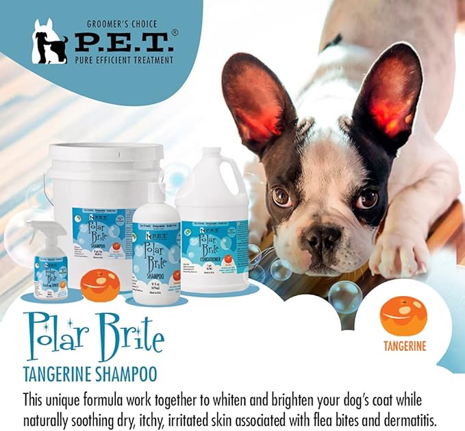 Polar Brite Tangerine Shampoo 16 Oz – Deep Cleaning & Whitening for All Coat Types, Made in USA by P.E.T.