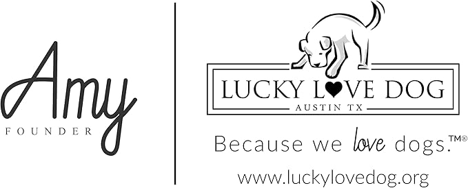 Lucky Love Dog Martingale Collar, Premium No Slip Collar, Colorful Striped Martingale Dog Collar for Small Dogs, Great for Whippets, Greyhounds, and More (Small, Nacho)