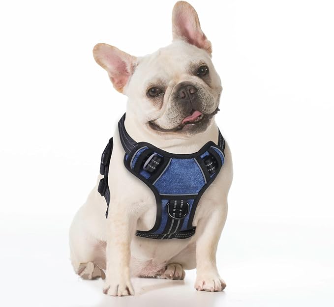 BUMBIN Dog Harness for Large Dogs, No Pull Adjustable No Choke Pet Vest with Dog Leash Fit Smart Reflective Pet Walking Harness for Training Easy Control Soft Handle Denim Blue XL