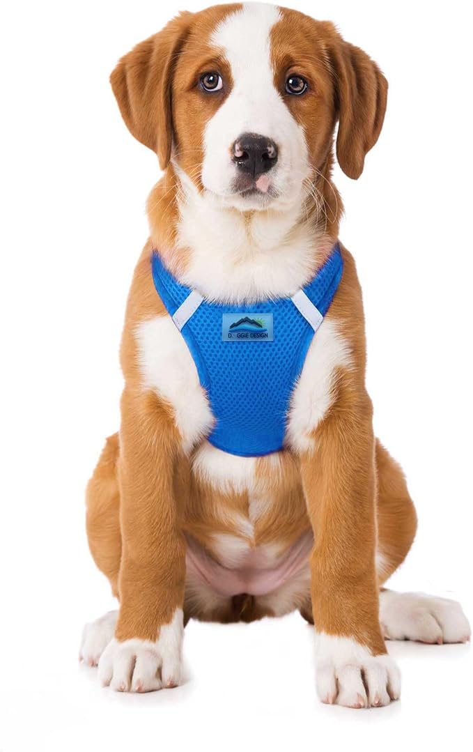 Doggie Design Dog Harness - No Choke Dog Harness, Dog Vest, Mesh Polyester, Pet Harness, Simple Step in and Go Design, Harness for Dog - Cobalt Blue, L