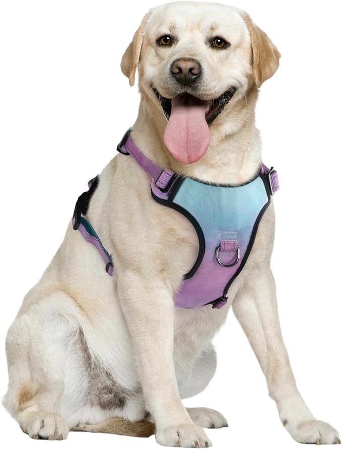 QQPETS No Pull Dog Harness with 2 Leash Clips,Adjustable Soft Padded Dog Vest, Reflective Outdoor Pet Oxford Vest with Easy Control Handle for Small to Large Dogs Walking Training