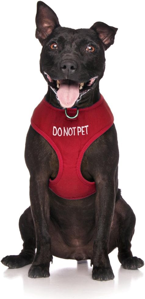 Limited DO NOT PET Red Color Coded Non-Pull Front and Back D Ring Padded and Waterproof Vest Dog Harness Prevents Accidents by Warning Others of Your Dog in Advance (M)