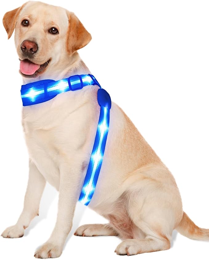 LED Light Up Dog Vest Harness Rechargeable, Soft Padded, Adjustable & Reflective Lighted Dog Harness Waterproof, Glow Dark Dog Light Harness for Camping Night Safety Walking, Medium Blue