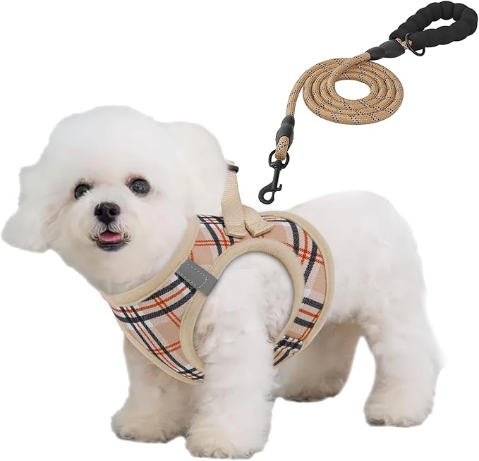 Athena Collection Small Dog Harness with 5 ft Leash, Step-in Dog Harness Leash Set Small No Pull Dog Vest Harness with Reflective Strips Adjustable Velcro, Easy Walk Puppy Harness, Beige