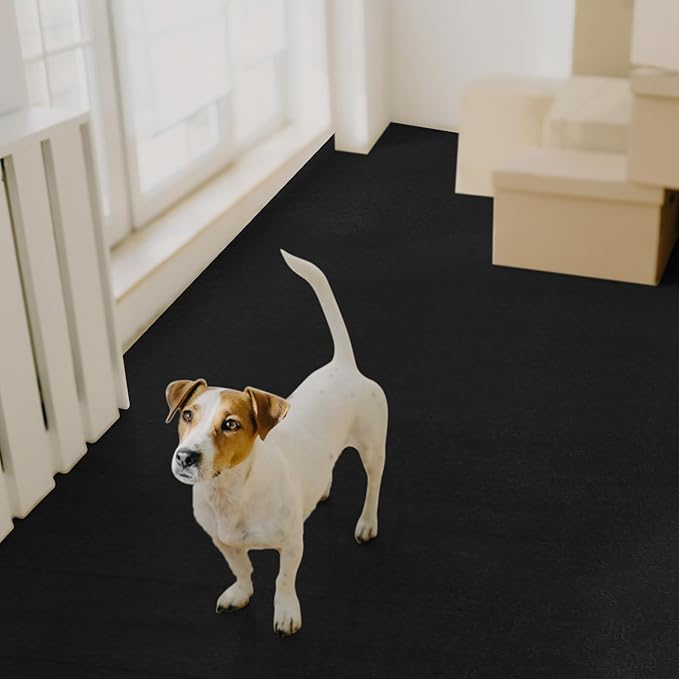 PVC Pet Crate Floor Protection Mat 24" X 38" XXL Washable Floor Covering Reusable Waterproof Non Slip Rug Whelping Pad for Pet
