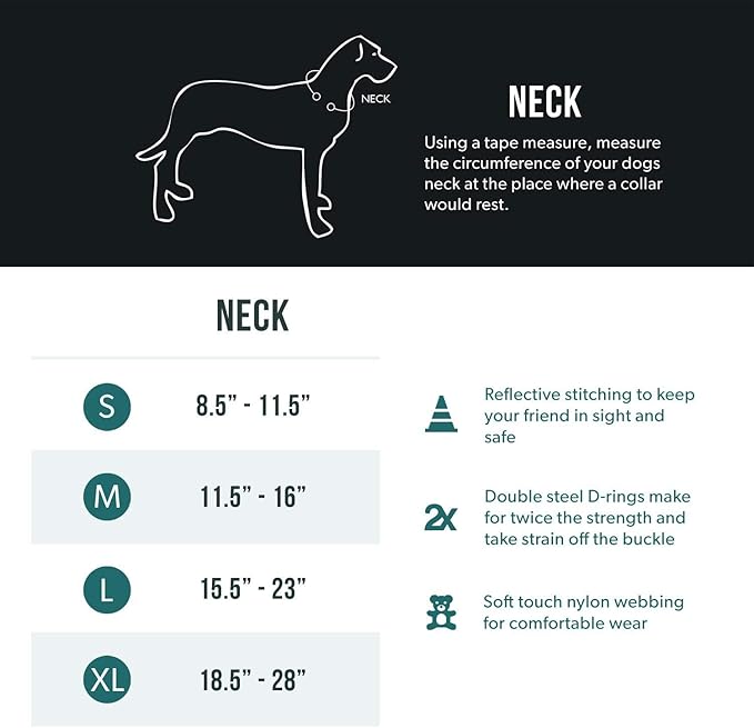 EzyDog Double Up Premium Nylon Dog Collar with Reflective Stitching - Double D-Rings for Superior Strength, Safety, and Comfortability - Non-Rusting, Includes an ID Attachment (XL, Gray)