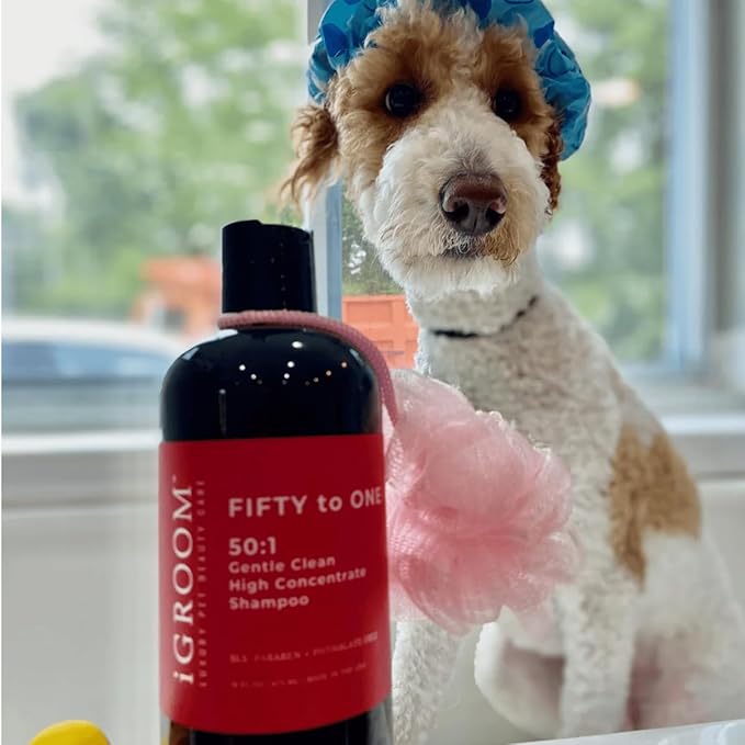 iGroom 50 to 1 Dog Shampoo - Delightfully Fragranced & Highly Concentrated – Best Dog Shampoo - Groom Like Professional - Environmentally Sustainable – Sooth & Nourish Coat - Made in USA, 16 oz