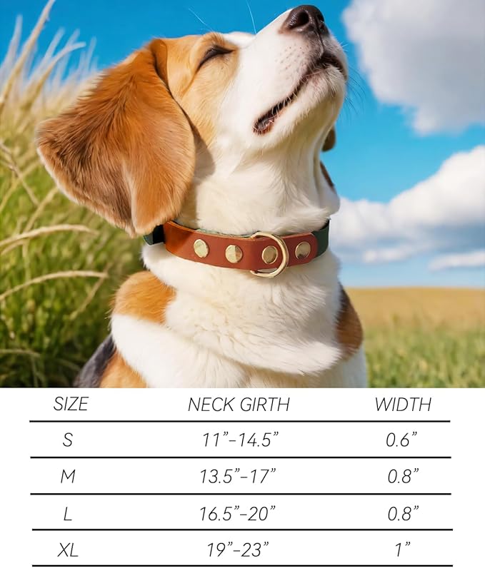 Premium Genuine Leather Dog Collar - Durable 4.5mm Thick, Color-Blocking Design with Rose Gold Hardware, Available in 4 Sizes for Small, Medium and Large Dogs, Green 19-23 in