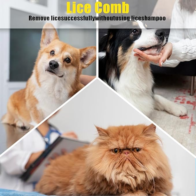 5pcs Flea Comb,Dematting Comb for Dog and Cat,Stainless Steel Teeth Head Nit Comb for Small,Medium&Large Pets,Lice Combs,Tick Comb for Dogs,Dog Combs for Grooming(A-blue green white)