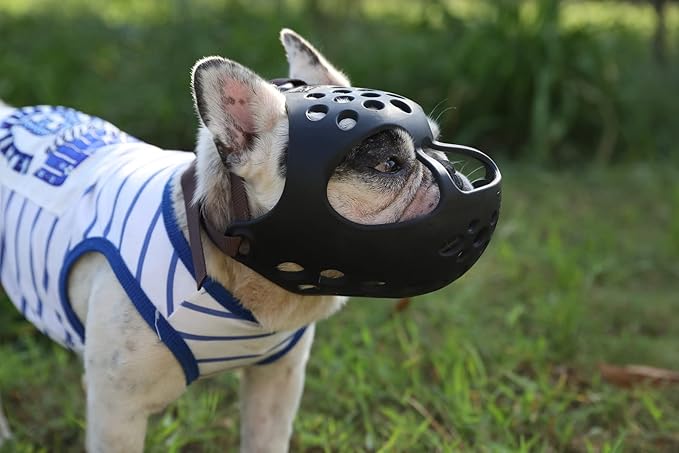 Short Snout Dog Muzzles,Soft Silicone Adjustable Breathable Bulldog Muzzle for Biting Chewing Barking Training,Ideal for Flat-Faced Dogs (X-Large/Black)