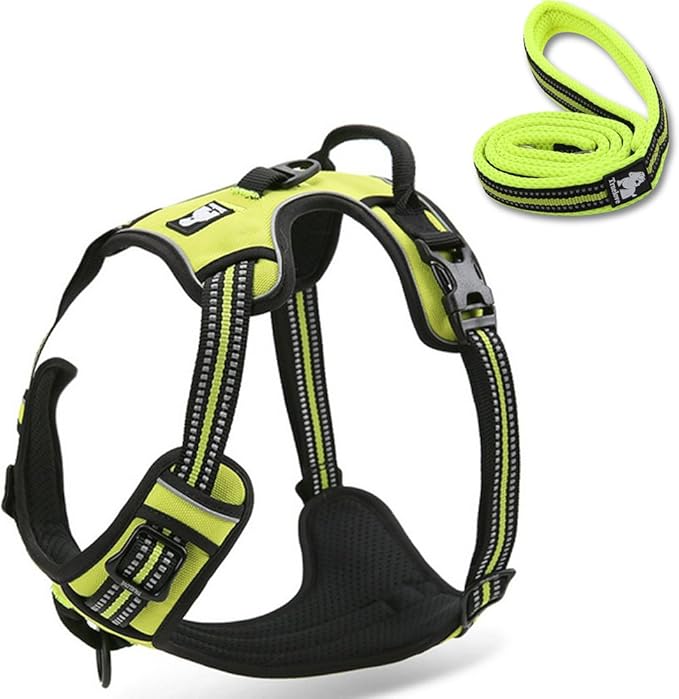 Reflective Nylon No-Pull Dog Harness and Training Leash Set Padded Durable Adjustable(XS, Green Set)