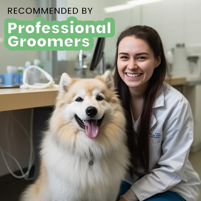 Best Shot ONE SHOT Deodorizing Spray, Versatile Pet Odor Eliminator Spray, Alcohol-free and Fabric-safe, Deodorizing Spray for Horses, Dogs, and Cats, Herbal Mint Fragrance, 32 Oz.