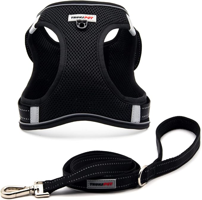Dog Harness and Leash Set, Step in no Pull Dog Harness Adjustable Reflective Padded Mesh Fabric Dog Vest for Extra-Small/Small Medium Dogs and Cats-XS-Black