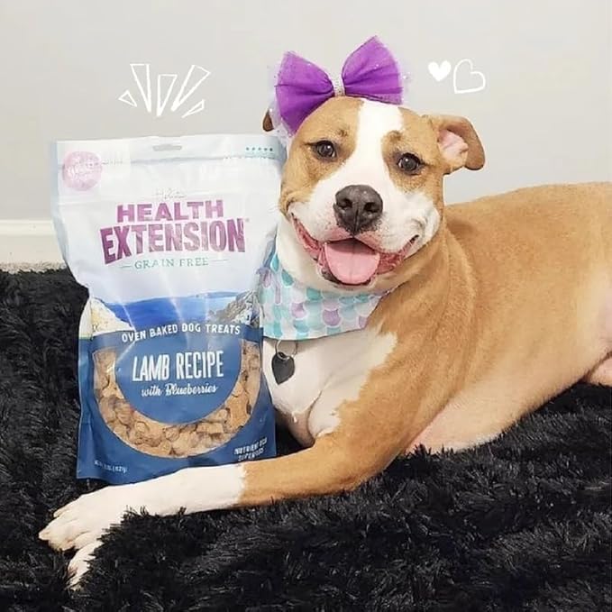 Health Extension Oven-Baked Dog Treats, 6oz (170g), Lamb & Blueberry Recipe – Gluten & Grain-Free, Superfood-Infused, Crunchy Biscuits for Puppy Training (Pack of 6)