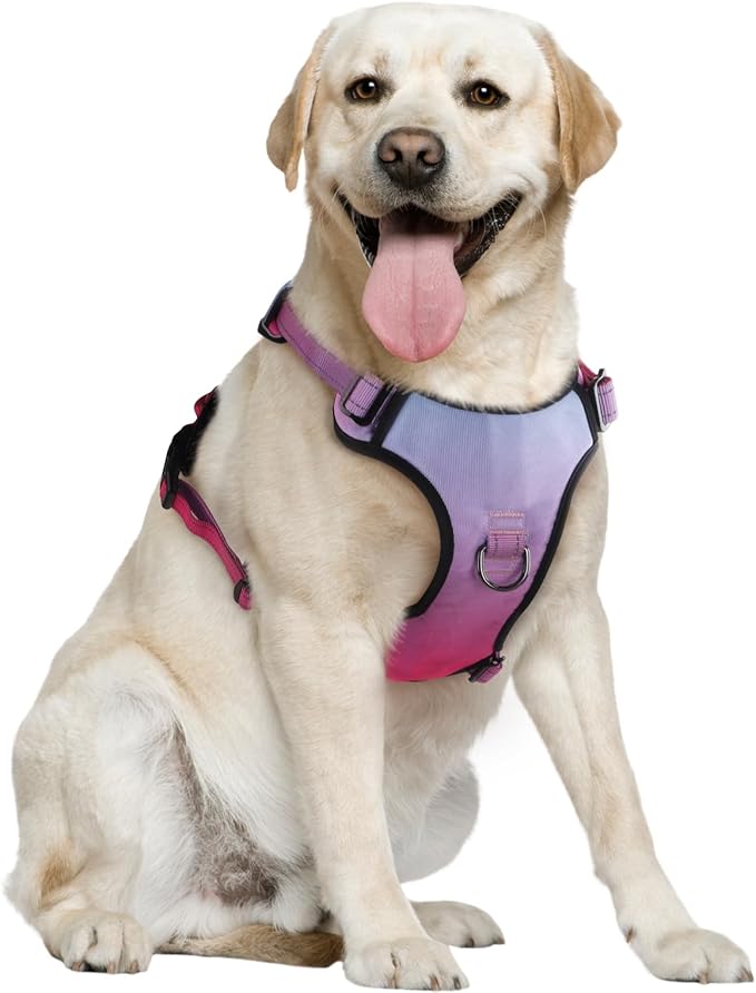 QQPETS No Pull Dog Harness with 2 Leash Clips,Adjustable Soft Padded Dog Vest, Reflective Outdoor Pet Oxford Vest with Easy Control Handle for Small to Large Dogs Walking Training