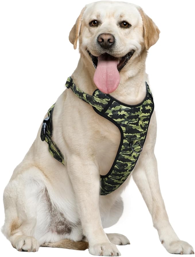 QQPETS No Pull Dog Harness with 2 Leash Clips,Adjustable Soft Padded Dog Vest, Reflective Outdoor Pet Oxford Vest with Easy Control Handle for Small to Large Dogs Walking Training