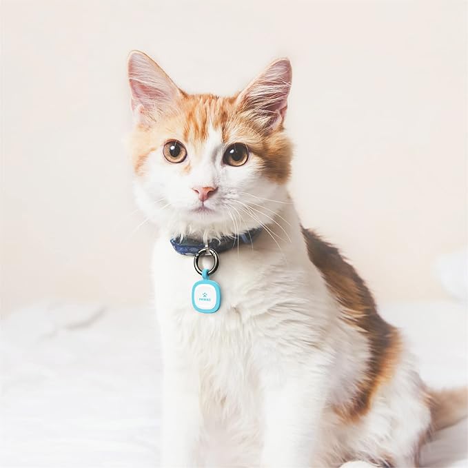 Pawaii QR Code Pet ID Tag, Silent Silicone Dog ID Tag, Modifiable Pet Online Profile, Free Online Pet Page Emergency Contact, Scan QR Receive Instant Pet Location Alert Email, 1Pack (Purple)