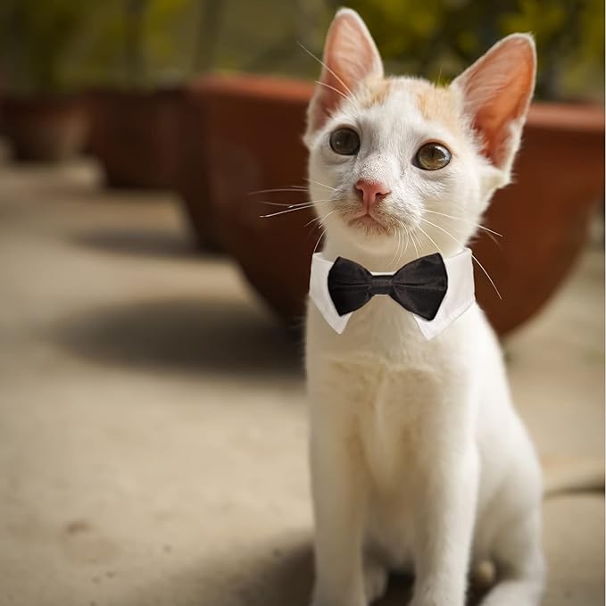 Cat Tuxedo, KOOLMOX Adjustable Suit White Collar with Formal Bows and Ties for Pet, Black Tiefor Small Medium Boy Cats Dogs Tuxedo Tux Outfits, Wedding Birthday Valentines Day Costumes, 2 Pack Black