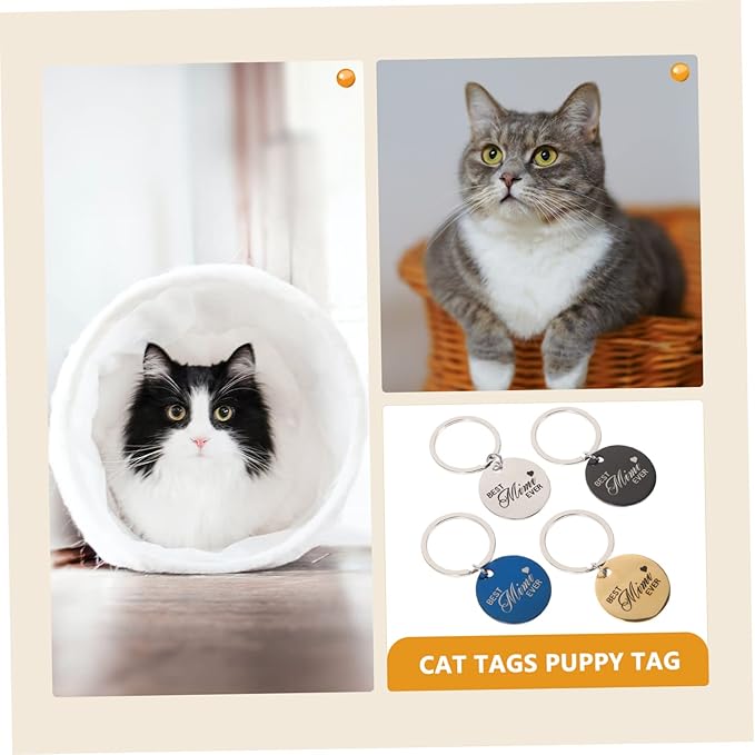 BESPORTBLE 4pcs Pet Id Pet Dog Tag Cat Tags Dog Tags Engraved for Pets Dog Collar Name Plate Blank Engraved Tag Custom Dog Tags for Pets Paw Print Id Tags Claw Nameplate Stainless Steel Metal