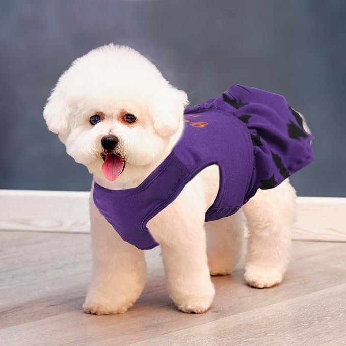 Funny Puppy Dress with Bow - Small & Large Dog Halloween Costume: Pumpkin Witch Bat Pet Dress, I'm The Good Witch (X-Small)