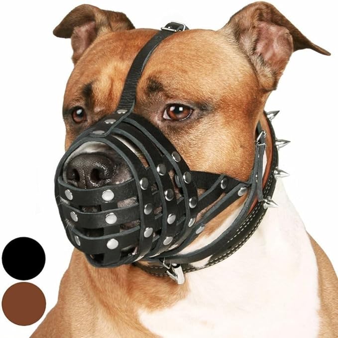 CollarDirect Pitbull Dog Muzzle Leather Amstaff Muzzles Staffordshire Terrier Secure Basket (Black)…