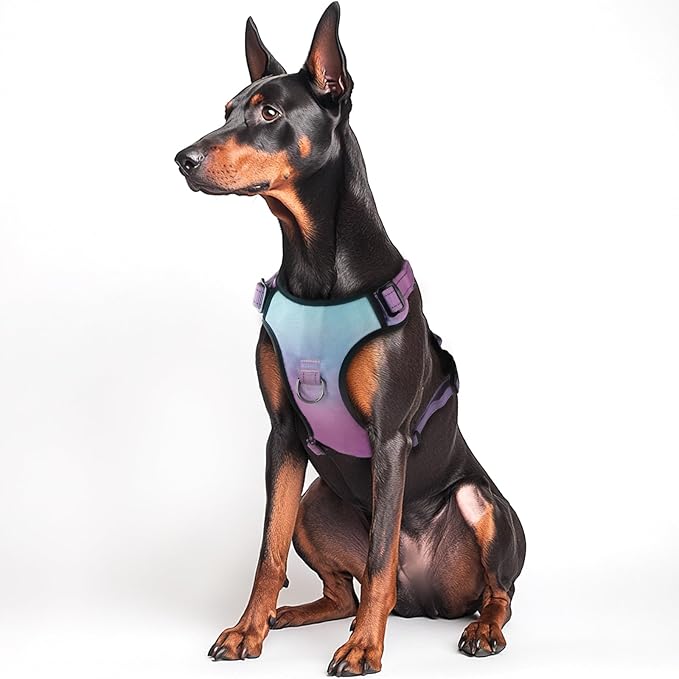 QQPETS No Pull Dog Harness with 2 Leash Clips,Adjustable Soft Padded Dog Vest, Reflective Outdoor Pet Oxford Vest with Easy Control Handle for Small to Large Dogs Walking Training