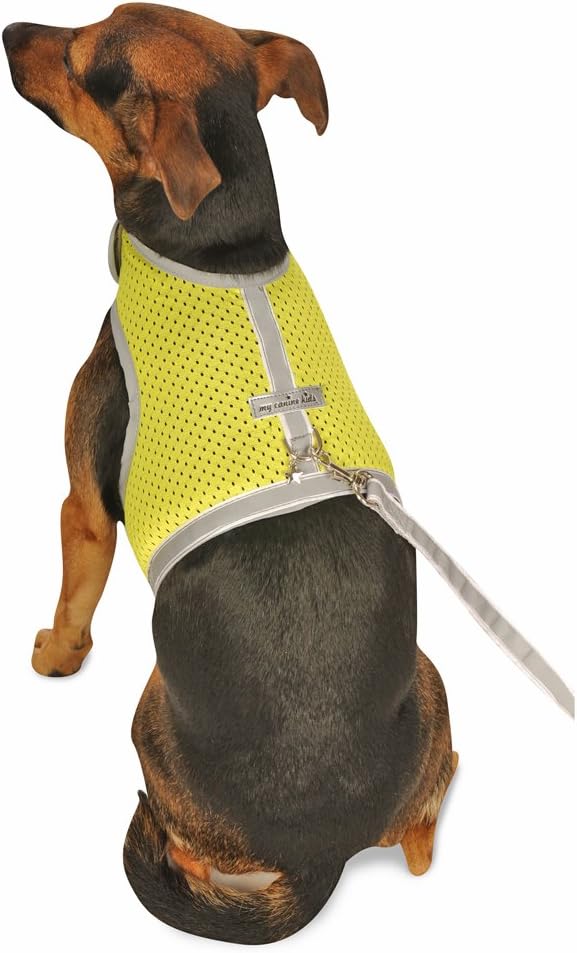 Athletic Mesh Dog Harness for Teacup, Teacup 3 - Small Dogs and Puppies | Reflective Trim and Comfortable Velcro Closure