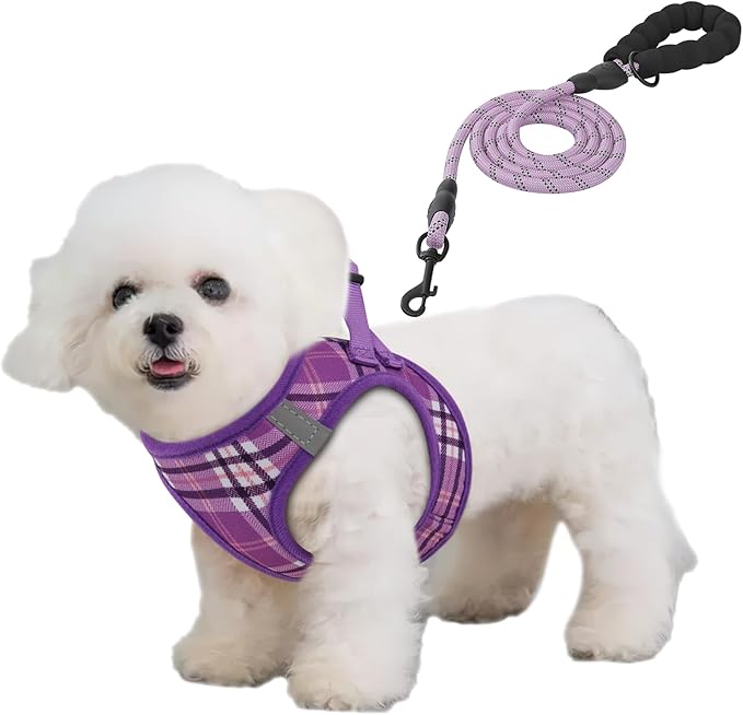 Athena Collection Small Dog Harness with 5 ft Leash, Step-in Dog Harness Leash Set Small No Pull Dog Vest Harness with Reflective Strips Adjustable Velcro, Easy Walk Puppy Harness, Purple