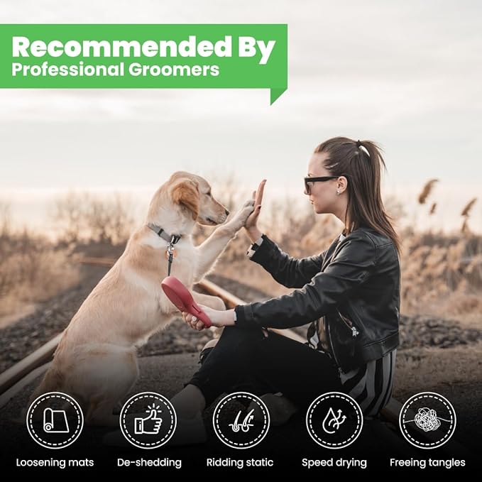 Best Shot Ultra Wash Too Shampoo with Pet Coat Release Technology, Coat and Skincare Product for Dogs and Cats, Quick-Rinsing, 16 oz