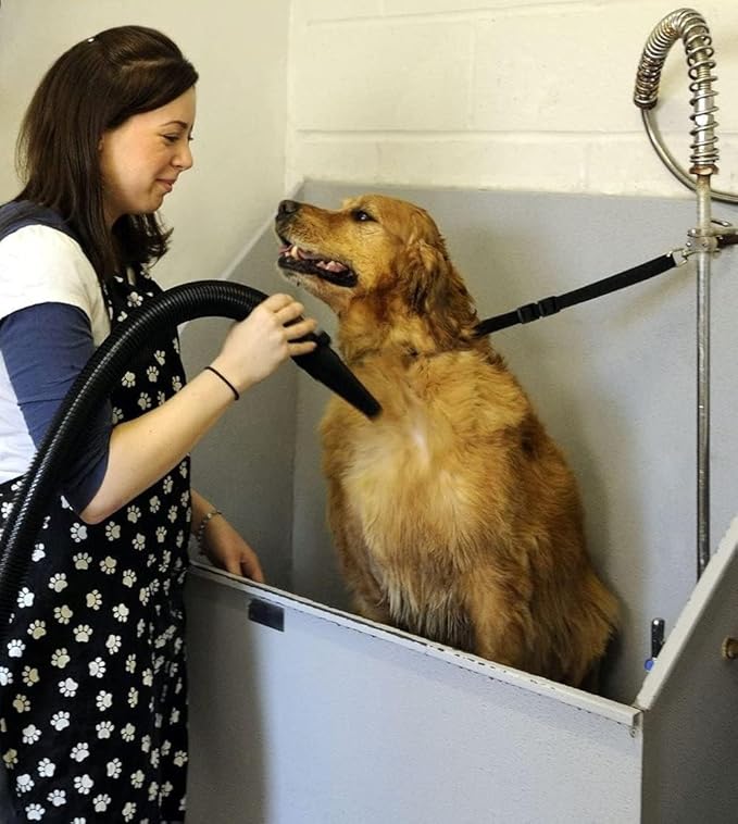 METROVAC Carbon Brush 2 Pack Bundle with Airforce Master Blaster Pet Dryer