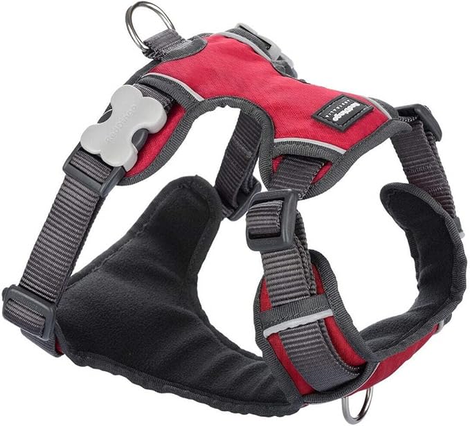 Red Dingo Padded Harness Small, Red (DH-PH-RE-SM)