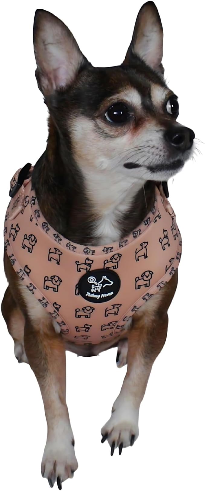 Dog Harness and Leash Set, No Pull Adjustable Soft Padded Vest, No Choke (Small, Beige Dog Pattern)