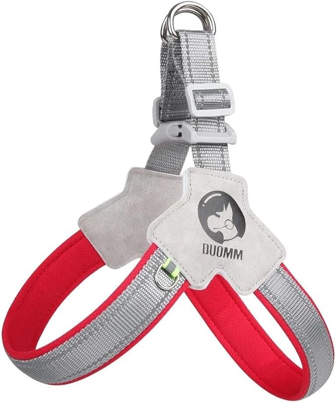 Pet Dog Cat Harness, Pet Harness with Leash Set, Adjustable Puppy Harness Comfortable Reflective Easy Control Dog with Leather Leash, No-Pull No Choke Pet Harness for Training Walking