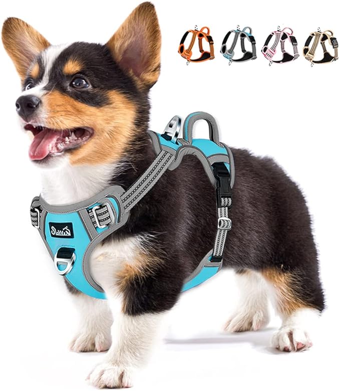 Lukovee No Pull Dog Harness, No Choke Adjustable Dog Harness with 2 Leash Clips and Easy Control Vertical Handle, Soft Padded Dog Vest for Medium and Large Dogs (Medium, Blue)