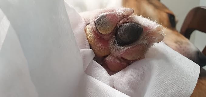 30 Pcs Cleasing Tissue for Pets - Just one Tissue