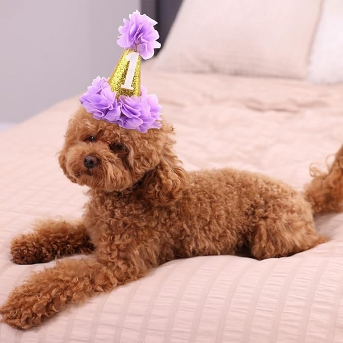 1st Pet Birthday Cone Hat Dogs Cats Holiday Party Hat Headwear Costume with Flowers Accessories and Adjustable Headband for Small Medium Dogs Cats Pets Baby, Purple