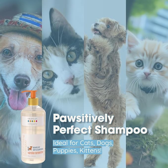 Moisturising & Odor Eliminating Shampoo for Dogs & Cats | Sensitive Skin Pet Shampoo | Organic Ingredients for Itchy, Dry Skin Relief in Dogs Cats | Paraben Free,Made in USA | Vanilla Tangerine-16oz
