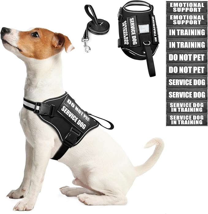 Service Dog Harness and Leash Set, Training Dog Vest with 10 Dog Patches, Emotional Support Therapy Dog Vest Harness for Small Medium Large and Extra Large Dogs(Black, S)