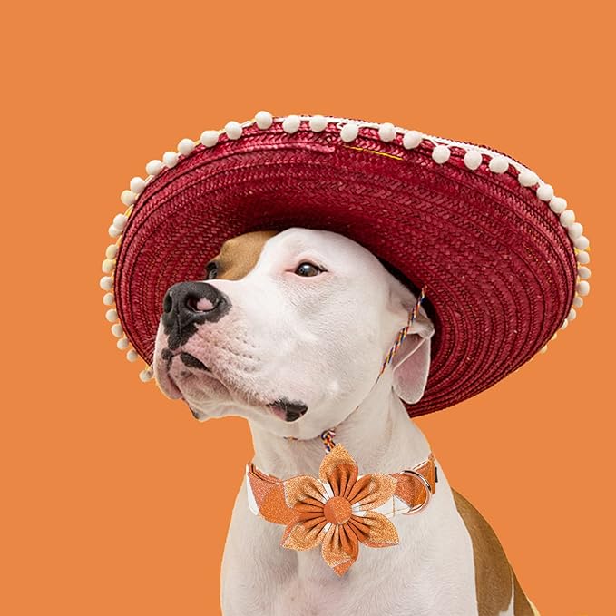 Fall Dog Collar with Flower, Orange Plaid Flower Dog Collar, Boy Girl Dog Collars for Small Medium Large Dogs