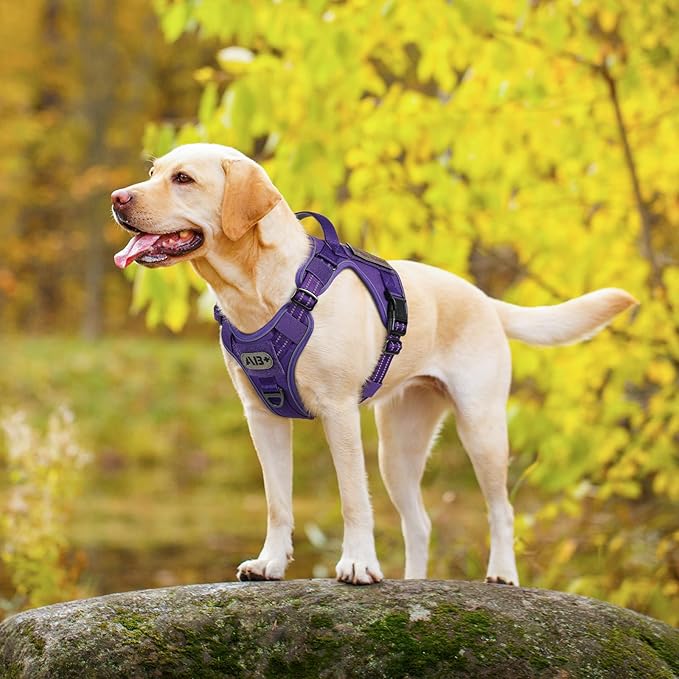 rabbitgoo Dog Harness Medium Sized No Pull, Tactical Service Dog Vest with Molle and Control Handle, Adjustable and Reflective Military Pet Harness for Easy Walking and Training, Purple, M