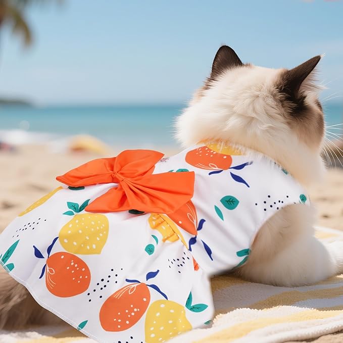 choyaxo Floral Dog Dress Cute Dog Skirt Pet Dress Summer Pet Clothes for Puppy Small Cats