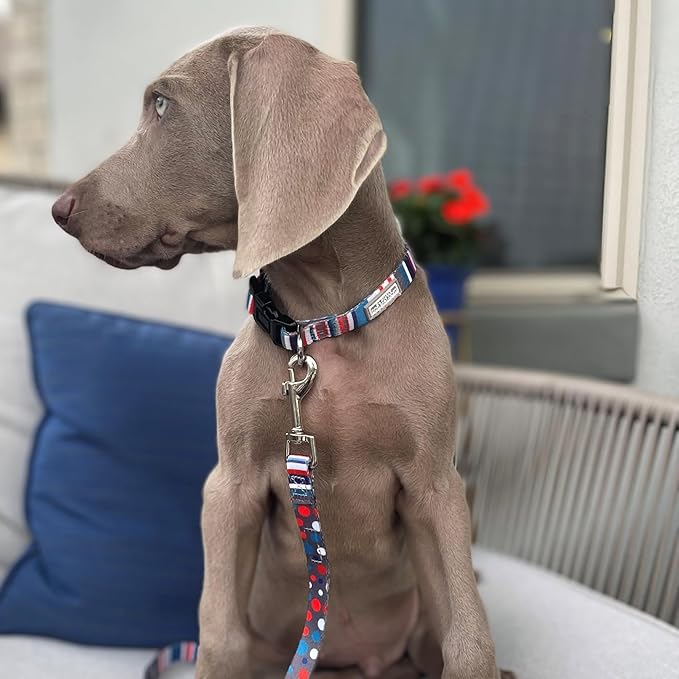 Lucky Love Dog, Nautical Matching Dog Collar and Leash Set, Polka Dot Striped Dog Collar and Leash for Male Female Dogs - (X-Small, Linus Combo)