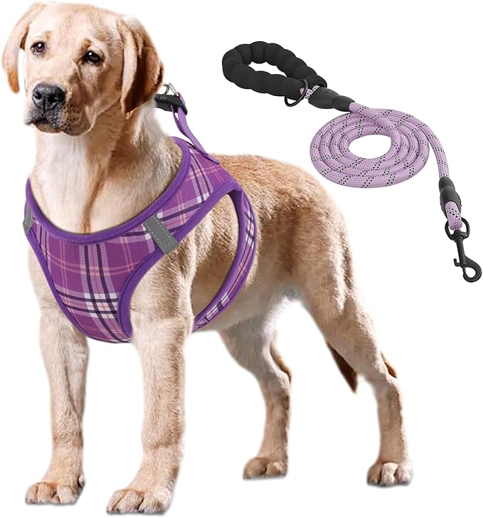 Athena Collection Step-in Dog Harness with 5 ft Leash, Large Dog Harness Leash Set Large No Pull Dog Vest Harness with Reflective Strips Adjustable Velcro, Easy Walk Dog Harness, Purple