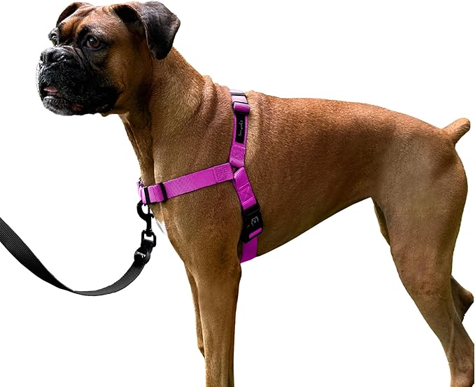 ShawnCo Dream Walk No-Pull Dog Harness- Adjustable, Comfortable, Easy to Use Pet Halter to Help Stop Pulling for Small, Medium and Large Dogs (Orchid, L)