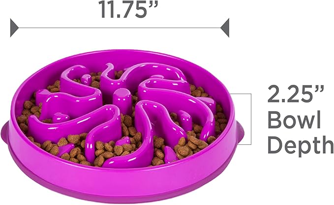 Outward Hound Fun Feeder Slo Bowl, Large Slow Feeder Dog Bowl, 4 Cups, Purple