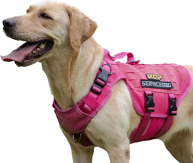No Pull Dog Harness -Tactical Dog Harness - Breathable mesh, Pet Walking Hiking Training Vest- Dog Harness for Dogs, Service Dog, Large, Pink