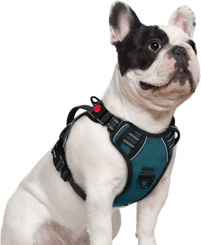 rabbitgoo Dog Harness Small Sized Dog, No Pull Pet Harness with Soft Padded Handle, Adjustable Reflective Vest with 3 Buckles, Easy Walking Harness with 2 Leash Clips, Green, S