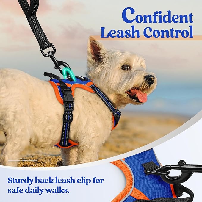rabbitgoo Dog Harness, No-Pull Pet Harness with 2 Leash Clips, Adjustable Soft Padded Dog Vest, Reflective No-Choke Pet Oxford Vest with Easy Control Handle for Large Dogs, Blue & Orange, XS