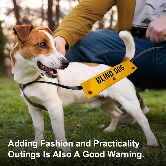 YROVWENQ Blind Dog Dog Leash Wrap with Visual Impairment Yellow Alert and Hanging ID Tag - Thoughtful Gift Idea for Pet Birthdays and More (Blind Dog Sleeve)